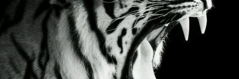 _laura_gs's profile banner image