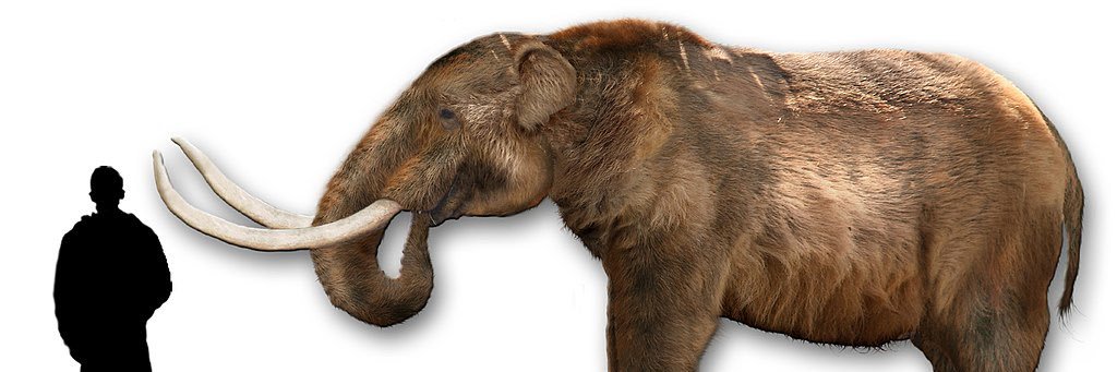 FⵡՏⅬΔⵎH banner