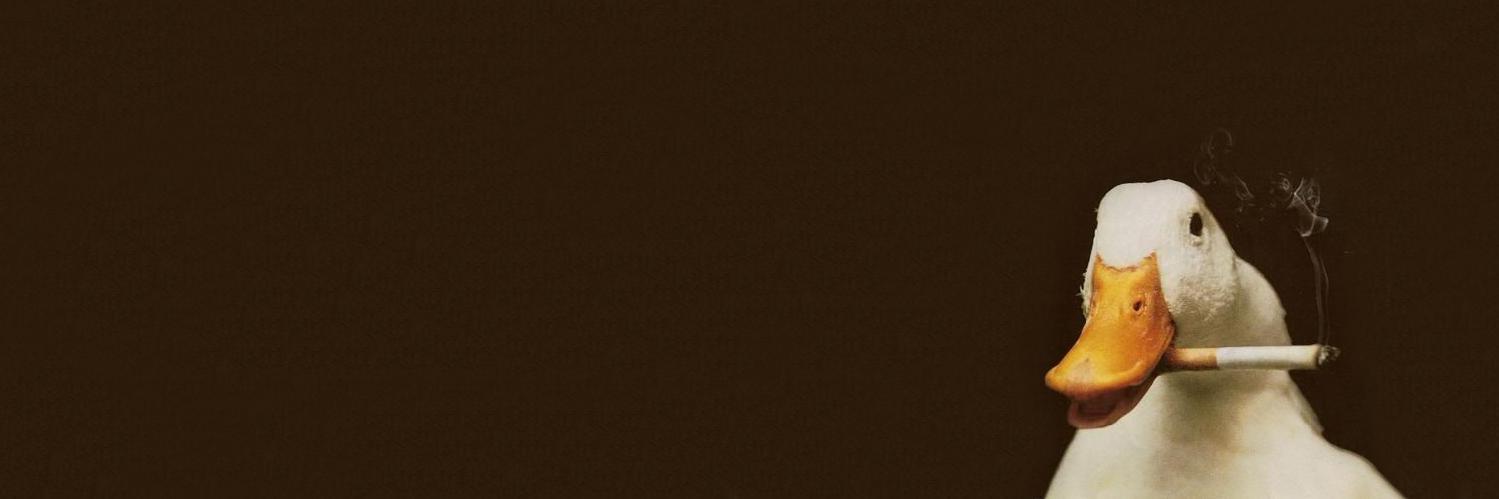MarcusWK's profile banner image