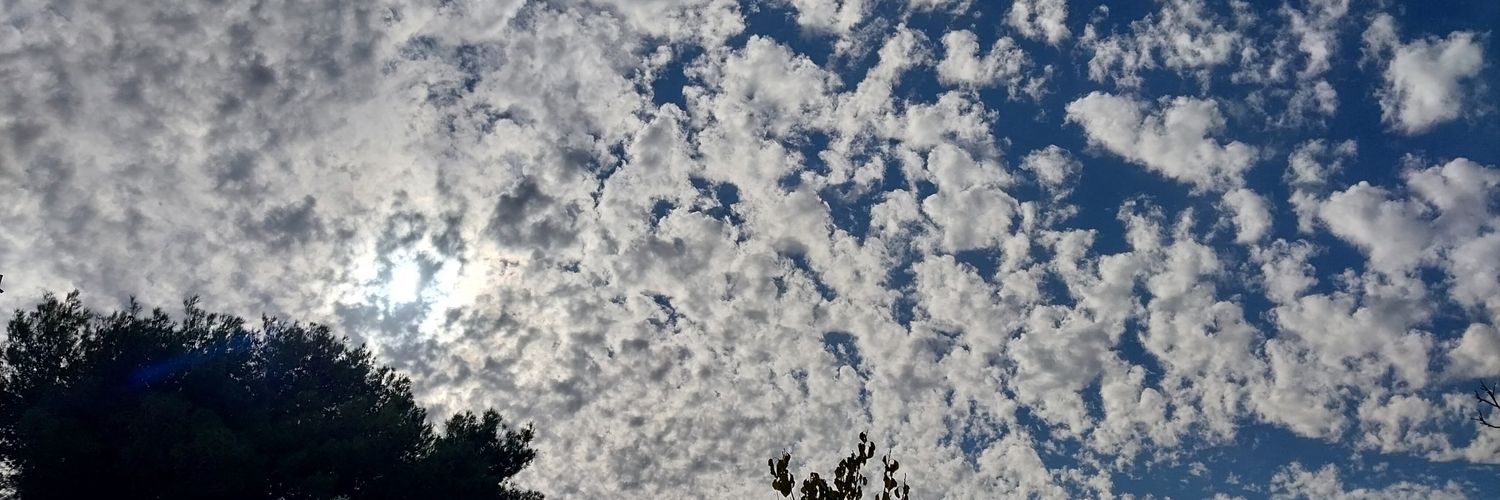 ربى الحياري banner