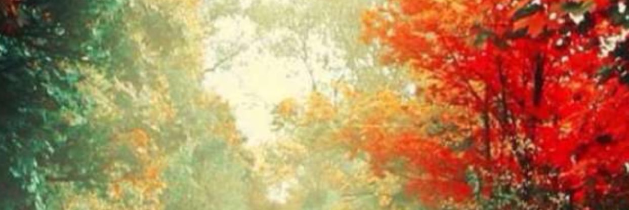 optimstic00's profile banner image