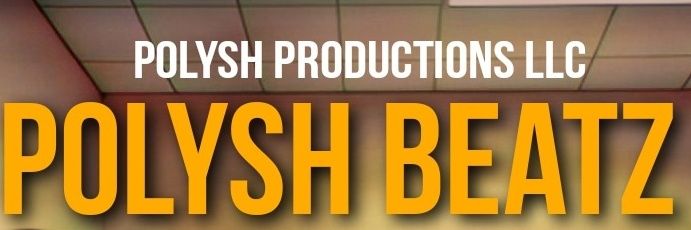 Polysh2fly's profile banner image
