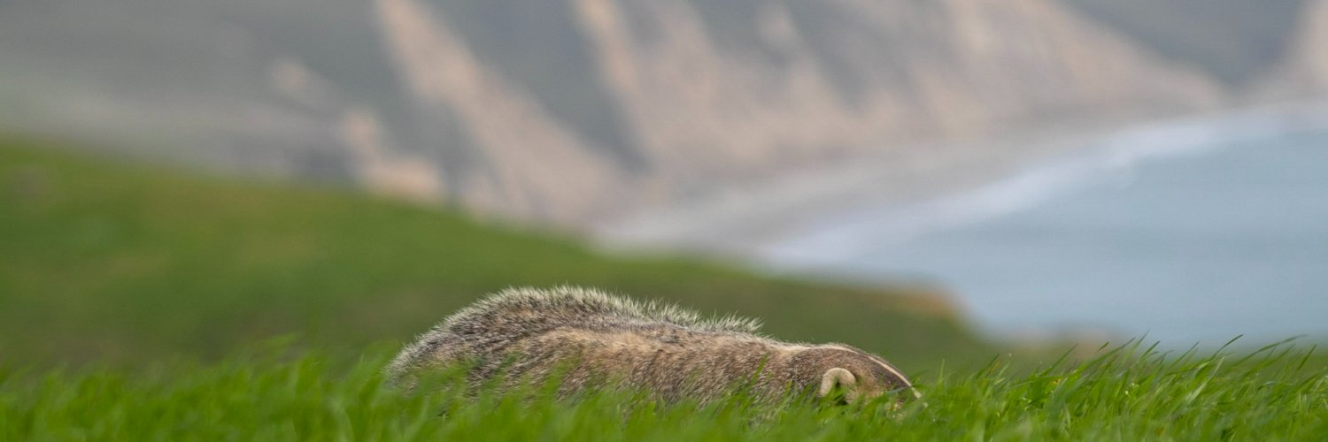 Point Reyes National Seashore Association banner