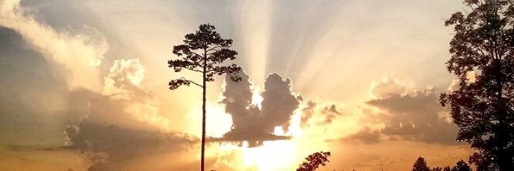 Shanon1320's profile banner image