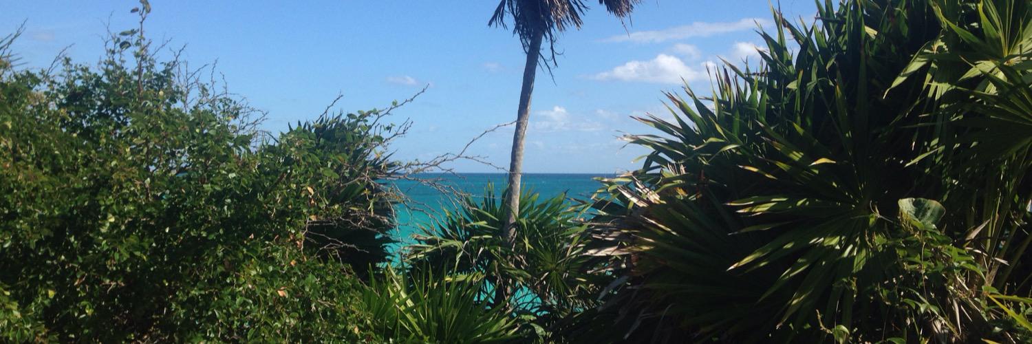 Lety Becerril banner