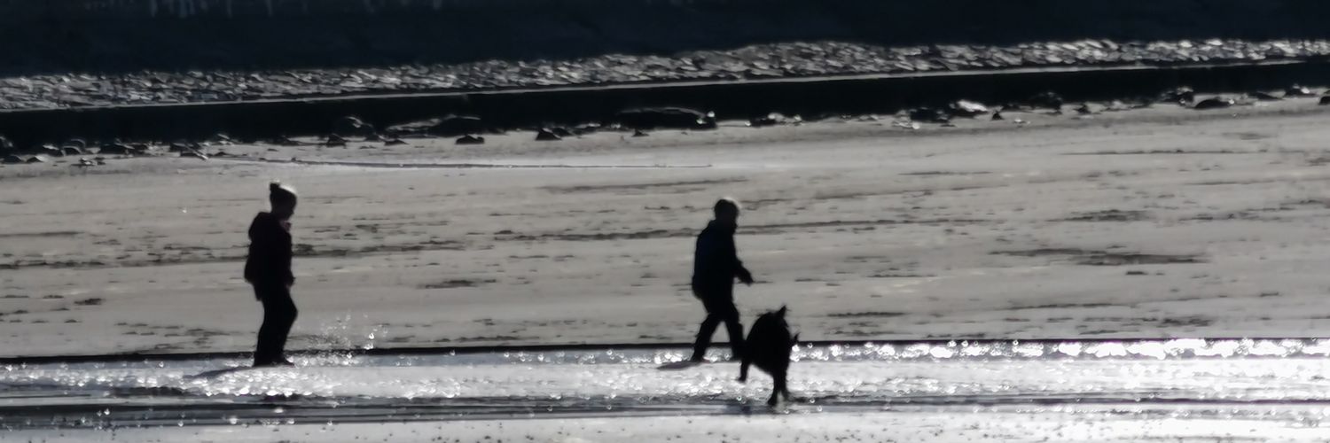 jacks_david's profile banner image