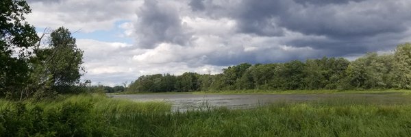 danfoisy Profile Banner