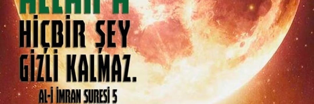 EST mehmet banner