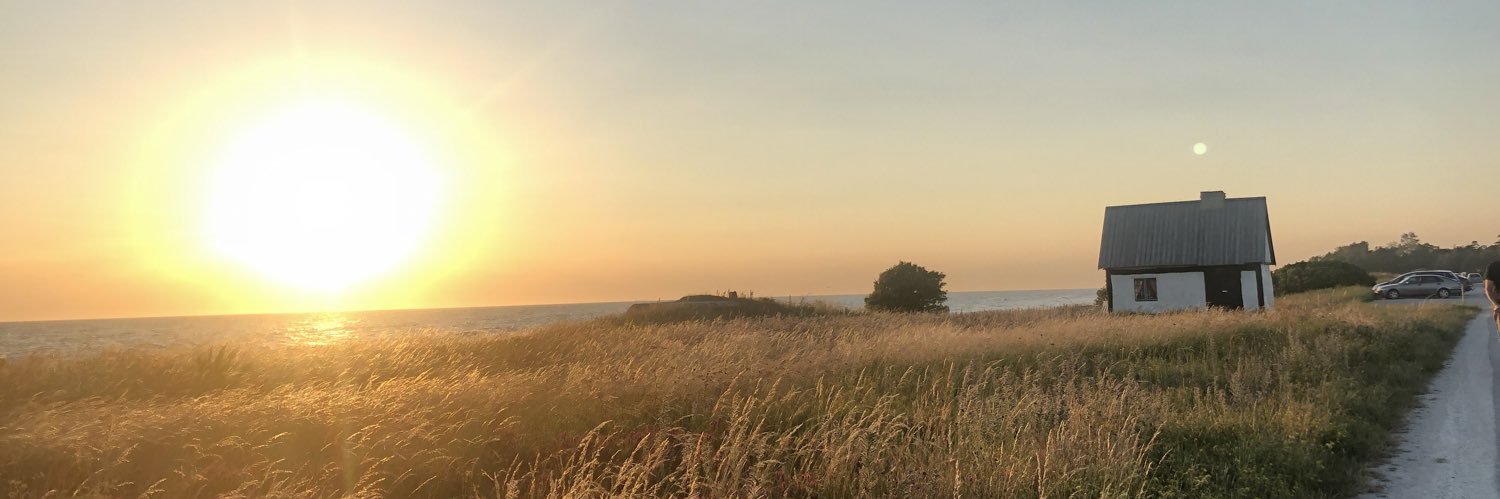lenabjurner's profile banner image