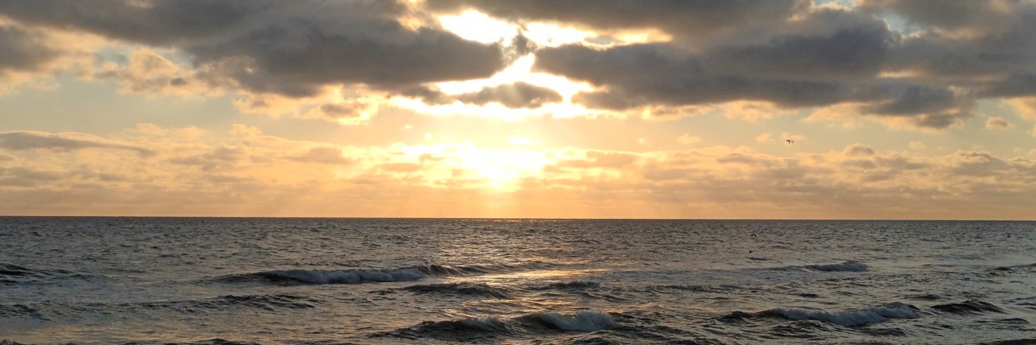 BenjaminMueller's profile banner image