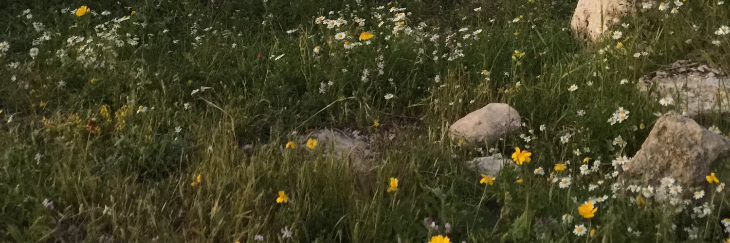 llkl01's profile banner image