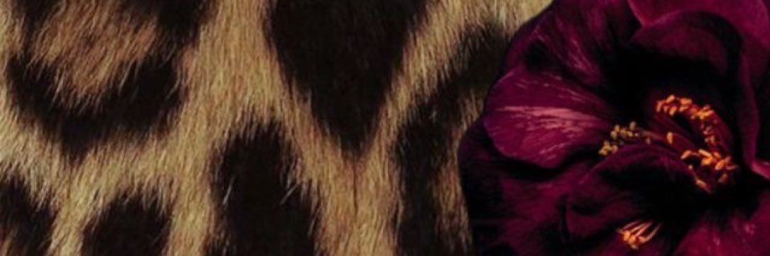 hrb_ab's profile banner image