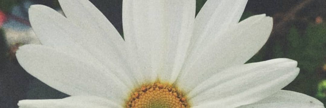 EstefiCM9's profile banner image