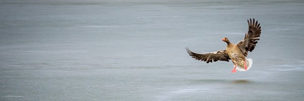 dl2ymr Profile Banner