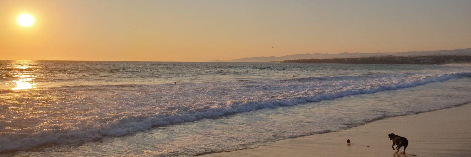 MScheuner's profile banner image