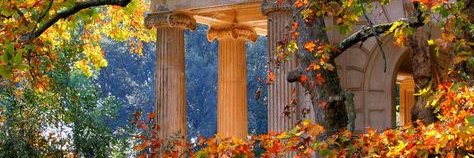 𝕋𝕣𝕦𝕥𝕙𝕃𝕠𝕧𝕖𝔽𝕒𝕚𝕥𝕙 📚🌲🎬🌹🎨's banner