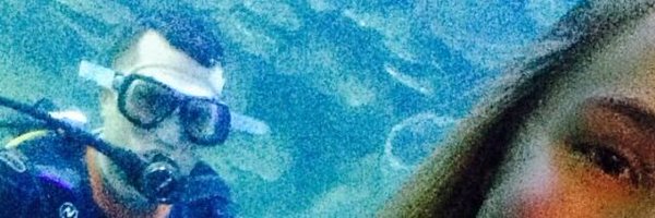 boydell79 Profile Banner