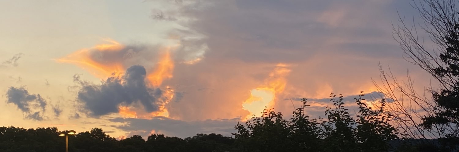 danielledagher_'s profile banner image