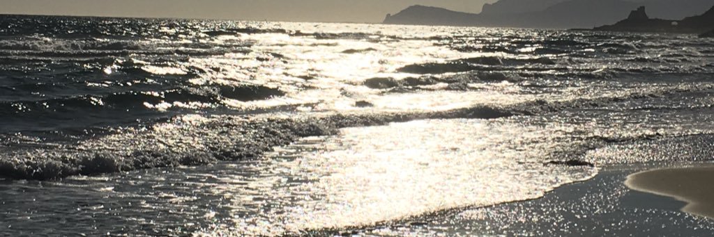 SaraDL11's profile banner image