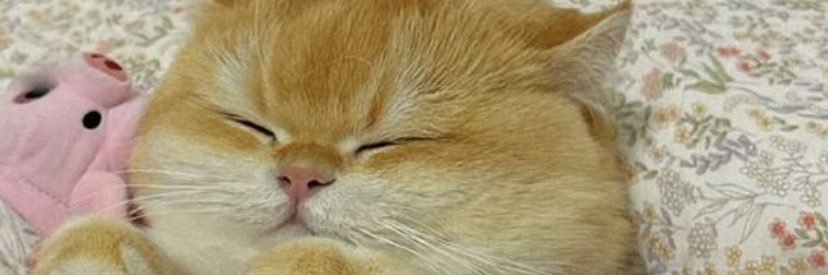 honewii_'s profile banner image