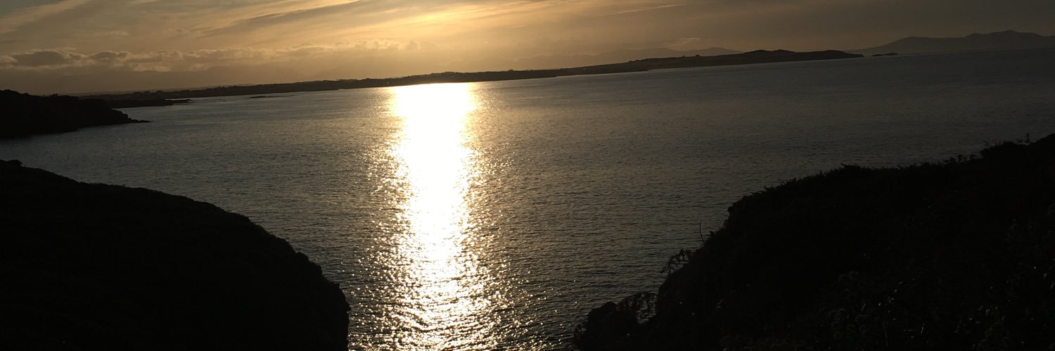 MichelleOakes2's profile banner image