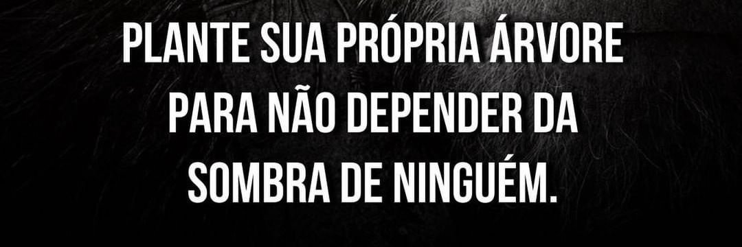 flaviosimidao's profile banner image