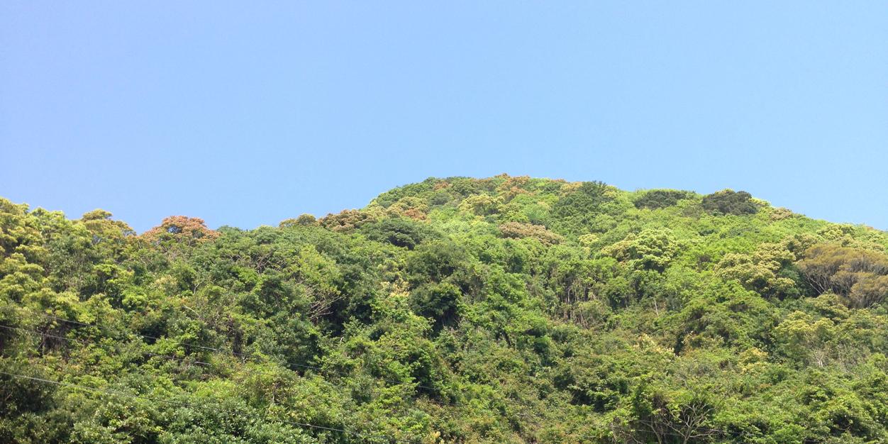 IkaInati's profile banner image