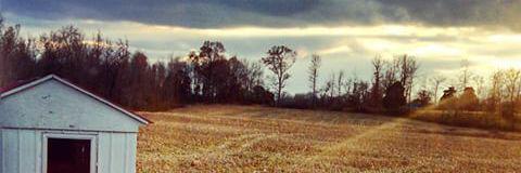 linsey_mae's profile banner image