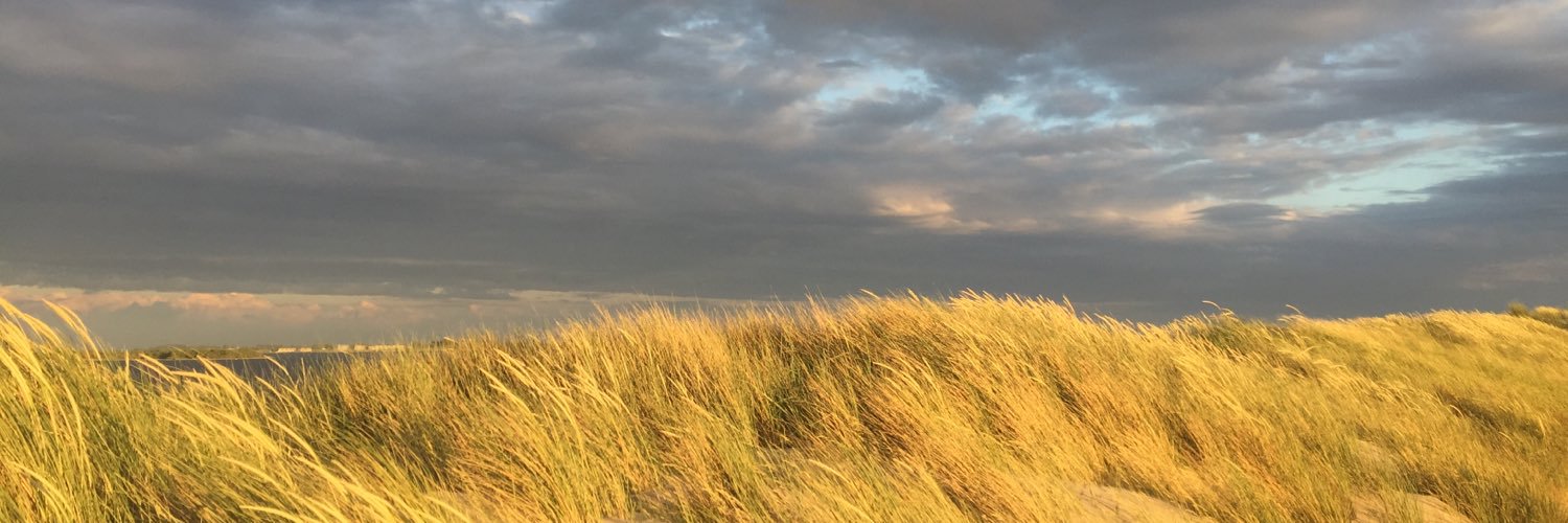DriesseWim's profile banner image
