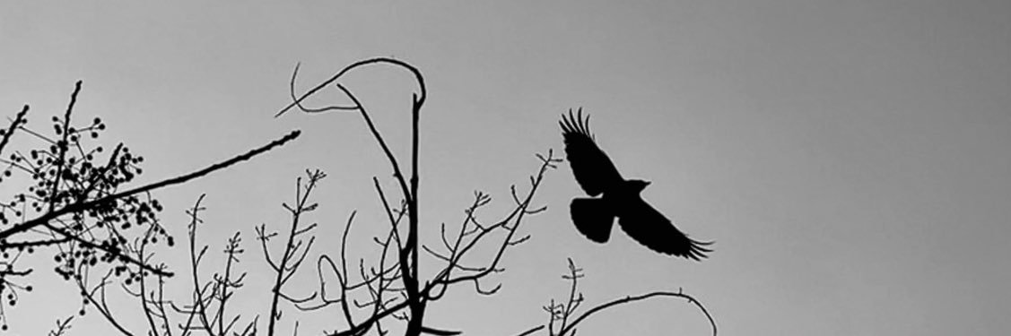 IMIM24's profile banner image