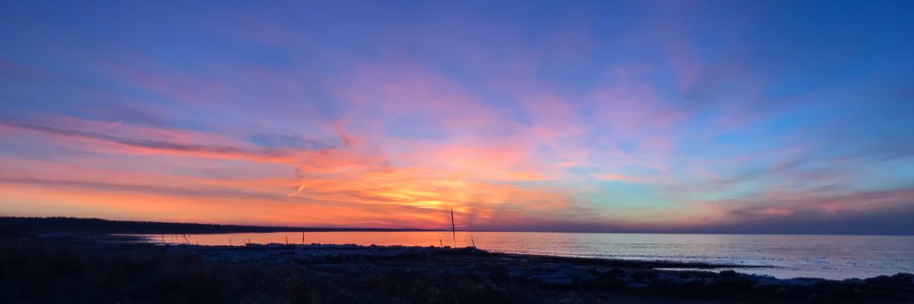 Brooke Linnell banner