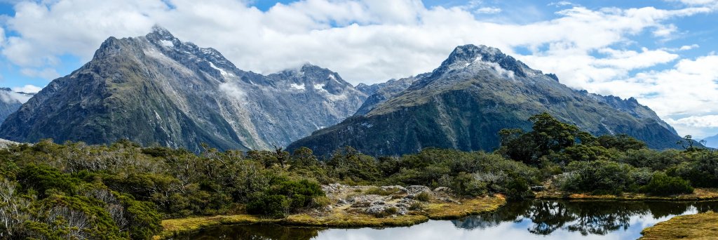 Elisabeth Perham banner