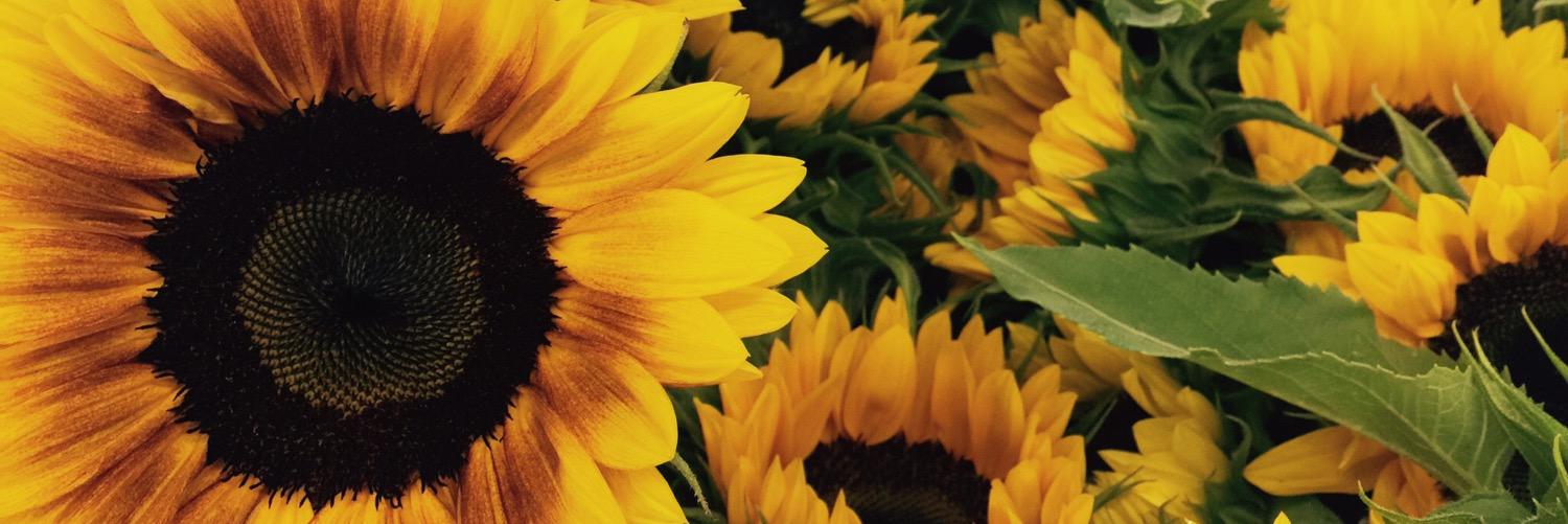 thisistait's profile banner image