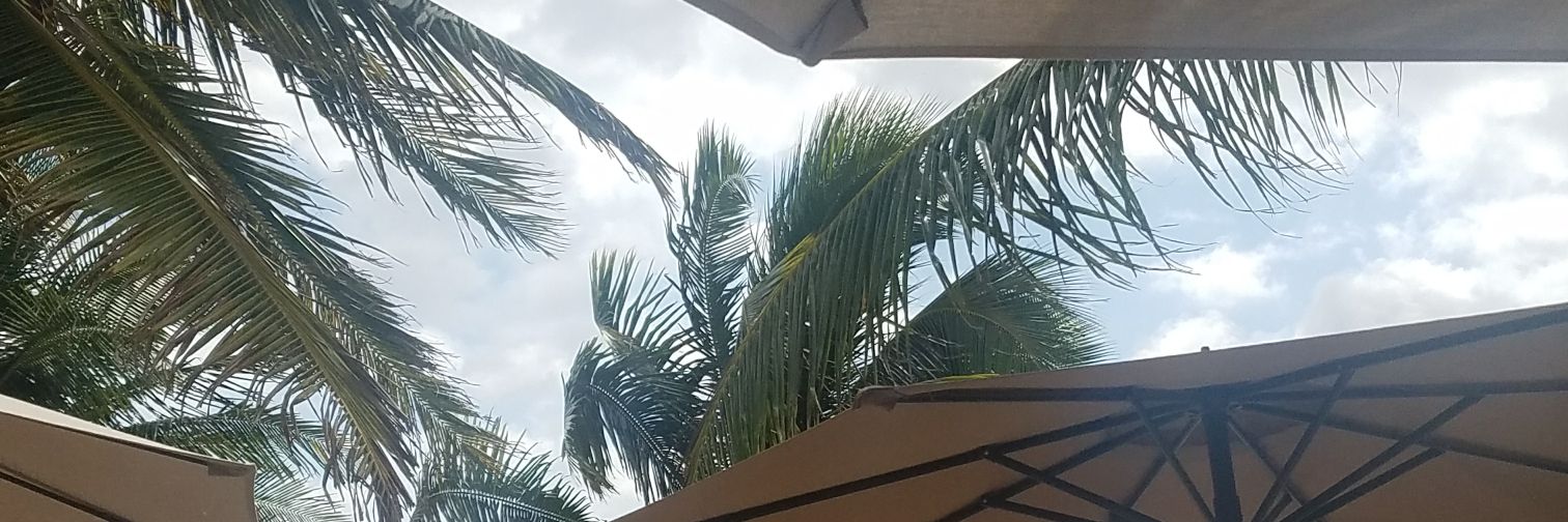 AlainaJNap's profile banner image