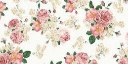 JennaElliott5's profile banner image