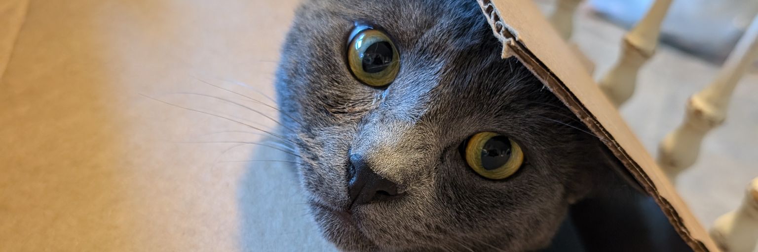 ablexxive's profile banner image