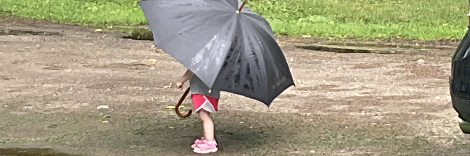 TomPalko's profile banner image