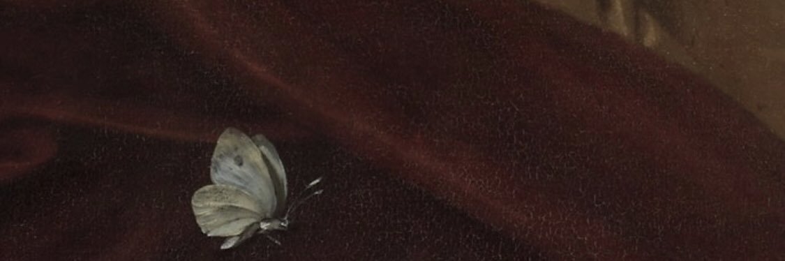 baileyvig's profile banner image