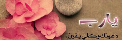 reem8090's profile banner image
