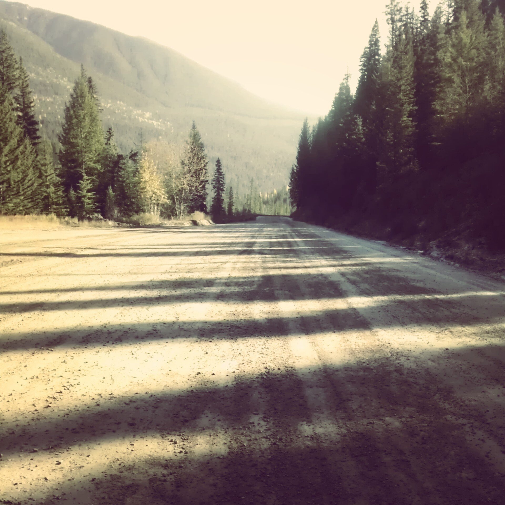 Andrew K. Izzrad banner