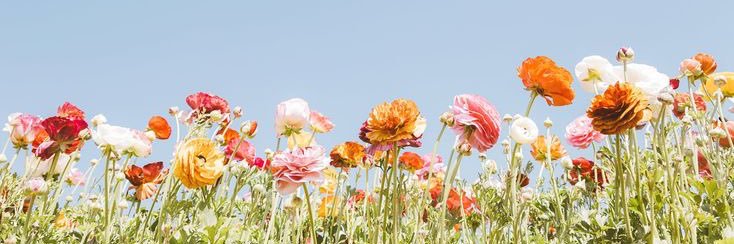 Disneylicious__'s profile banner image