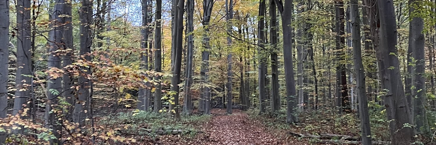 LarsBo1977's profile banner image