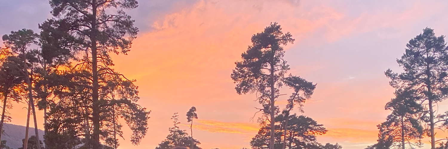 Sarii_15's profile banner image
