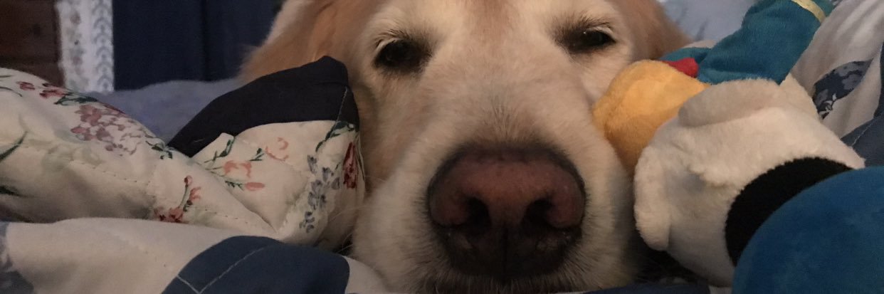 David Cornelius banner