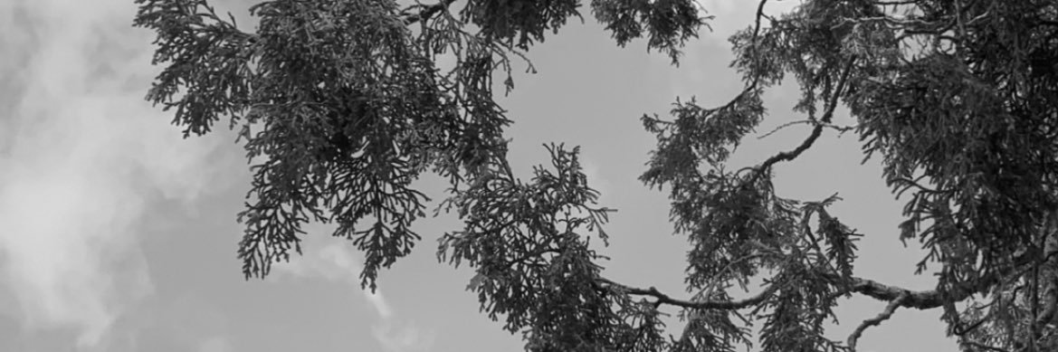 ms45ms's profile banner image