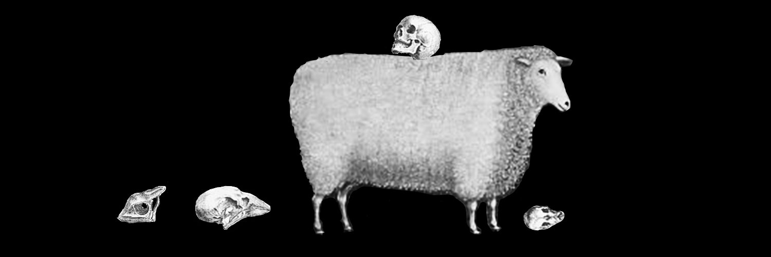 dominic angelella banner