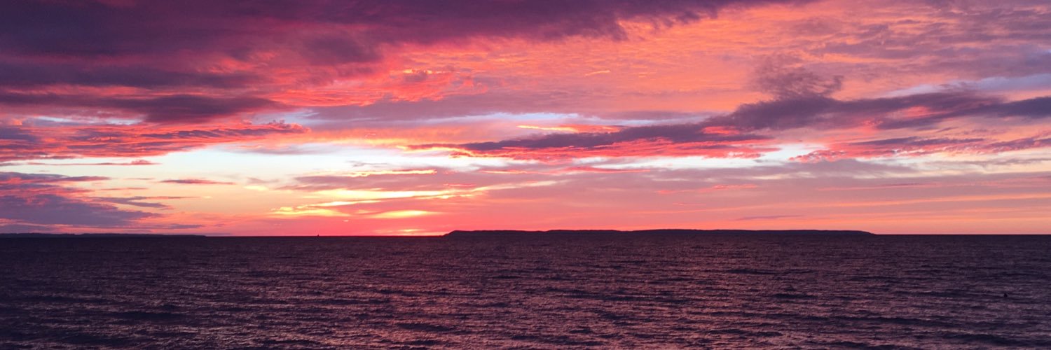 Hannah_Dali's profile banner image