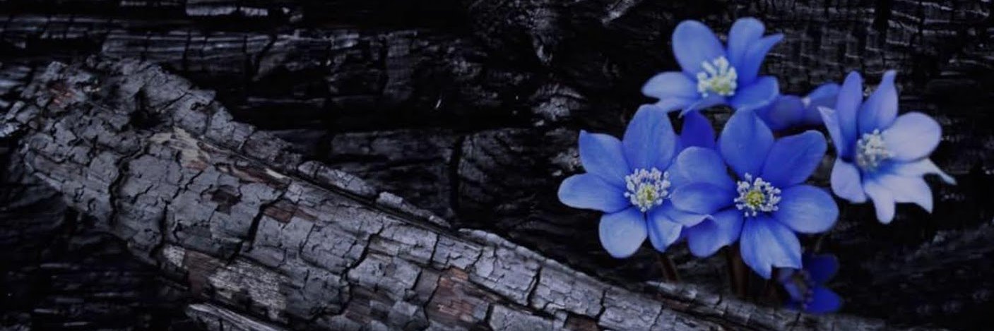 tant58's profile banner image