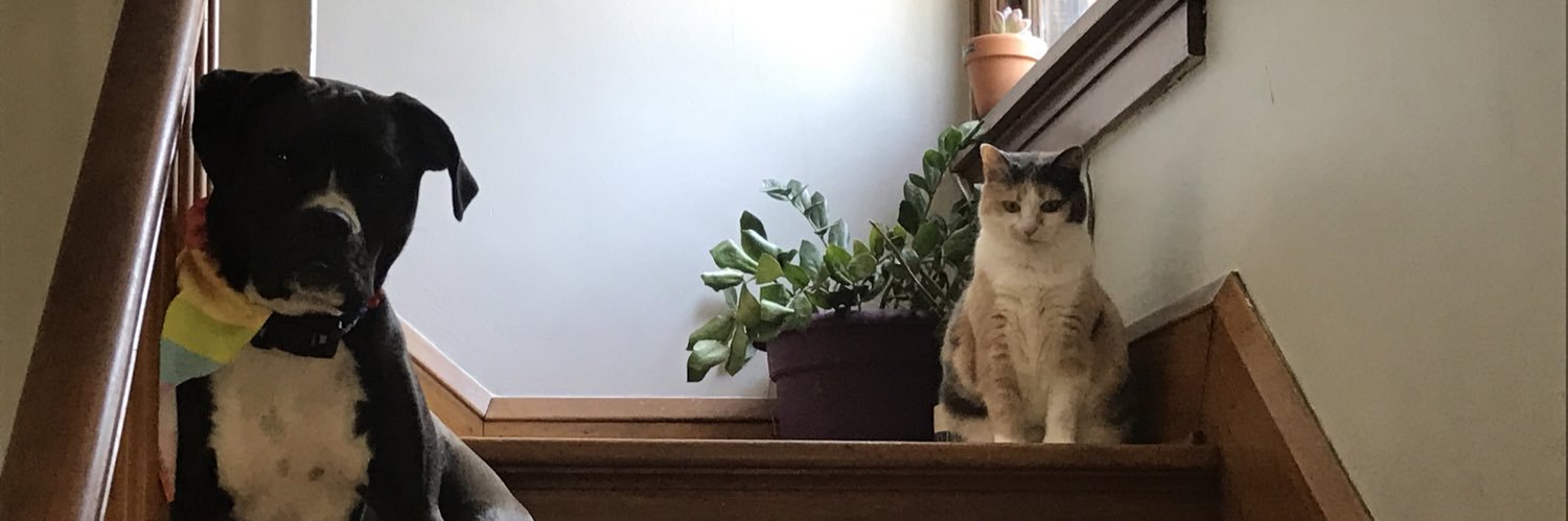softybutchy's profile banner image