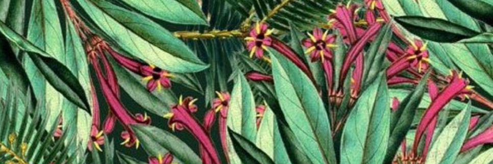 buthina7's profile banner image